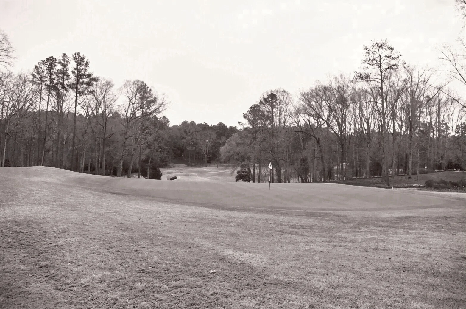 HVNA Winter 2015 Newsletter