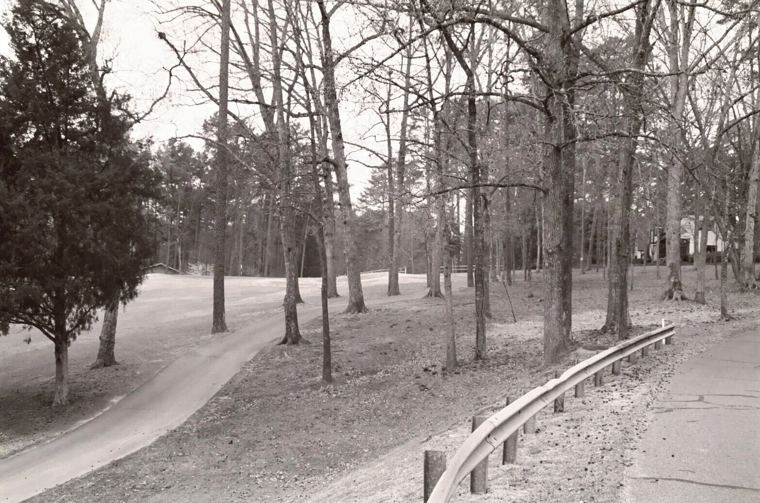 HVNA Summer 2015 Newsletter