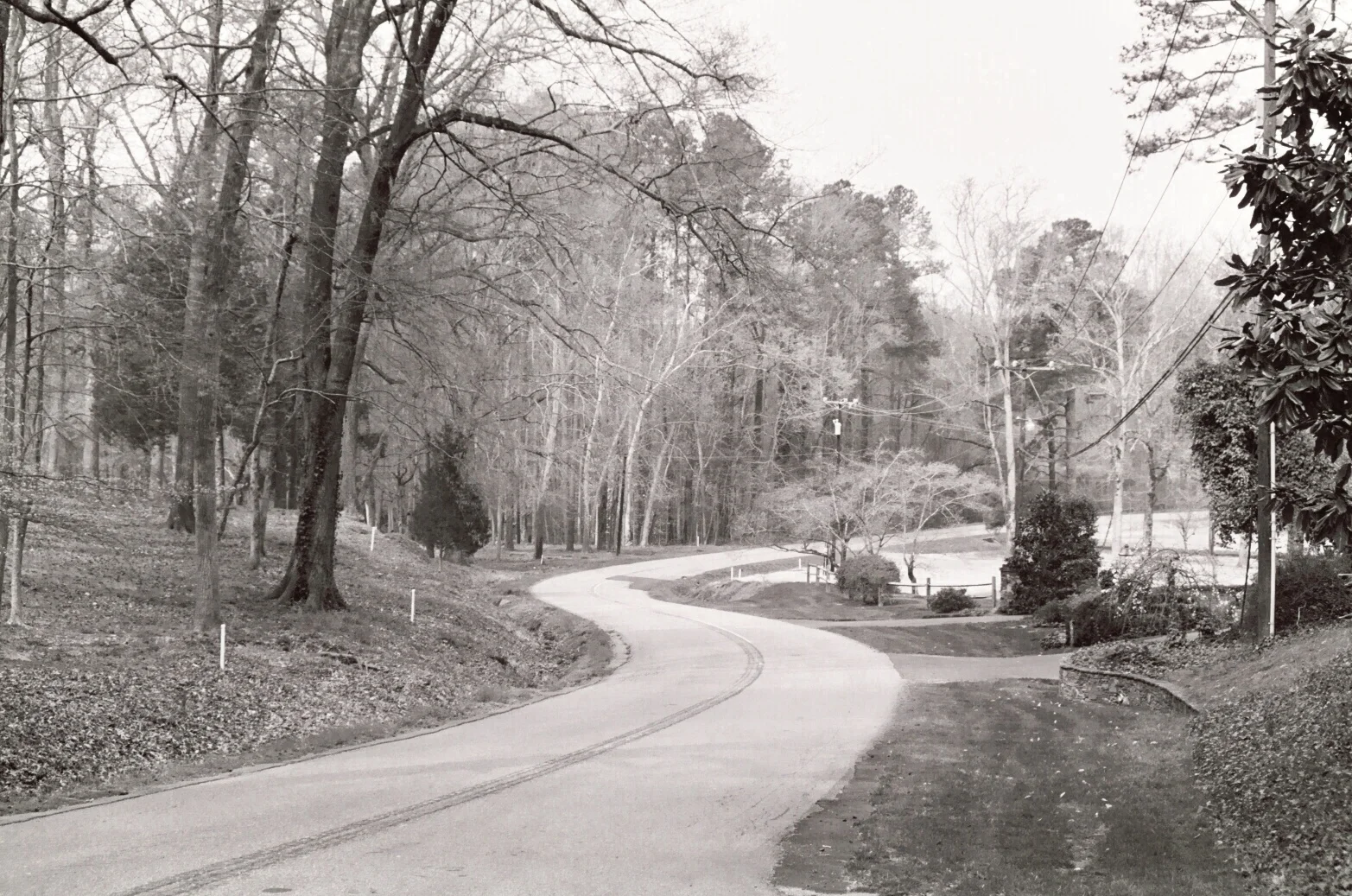 HVNA Winter 2016 Newsletter