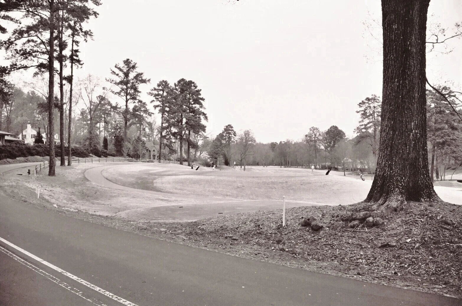 HVNA Spring/Summer 2016 Newsletter