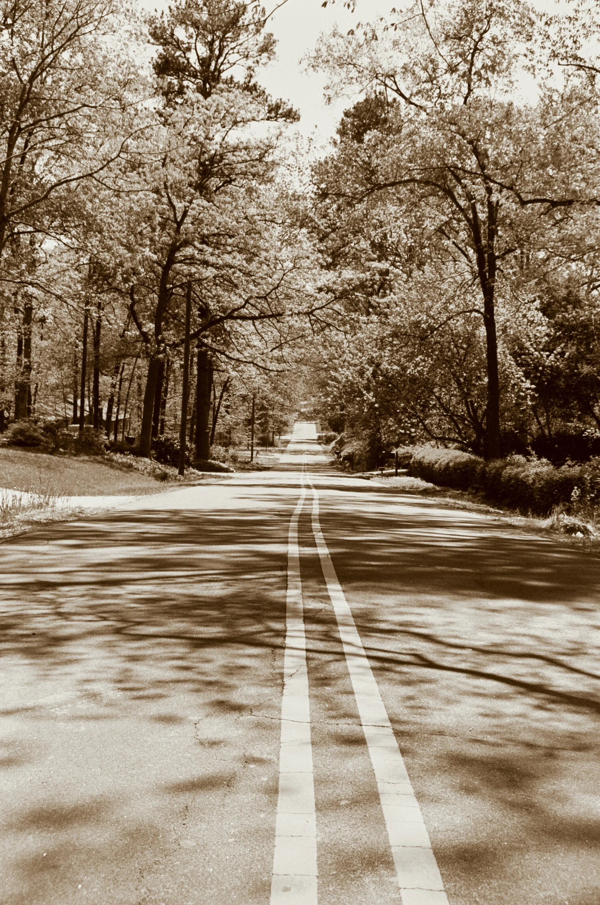 HVNA Summer 2017 Newsletter