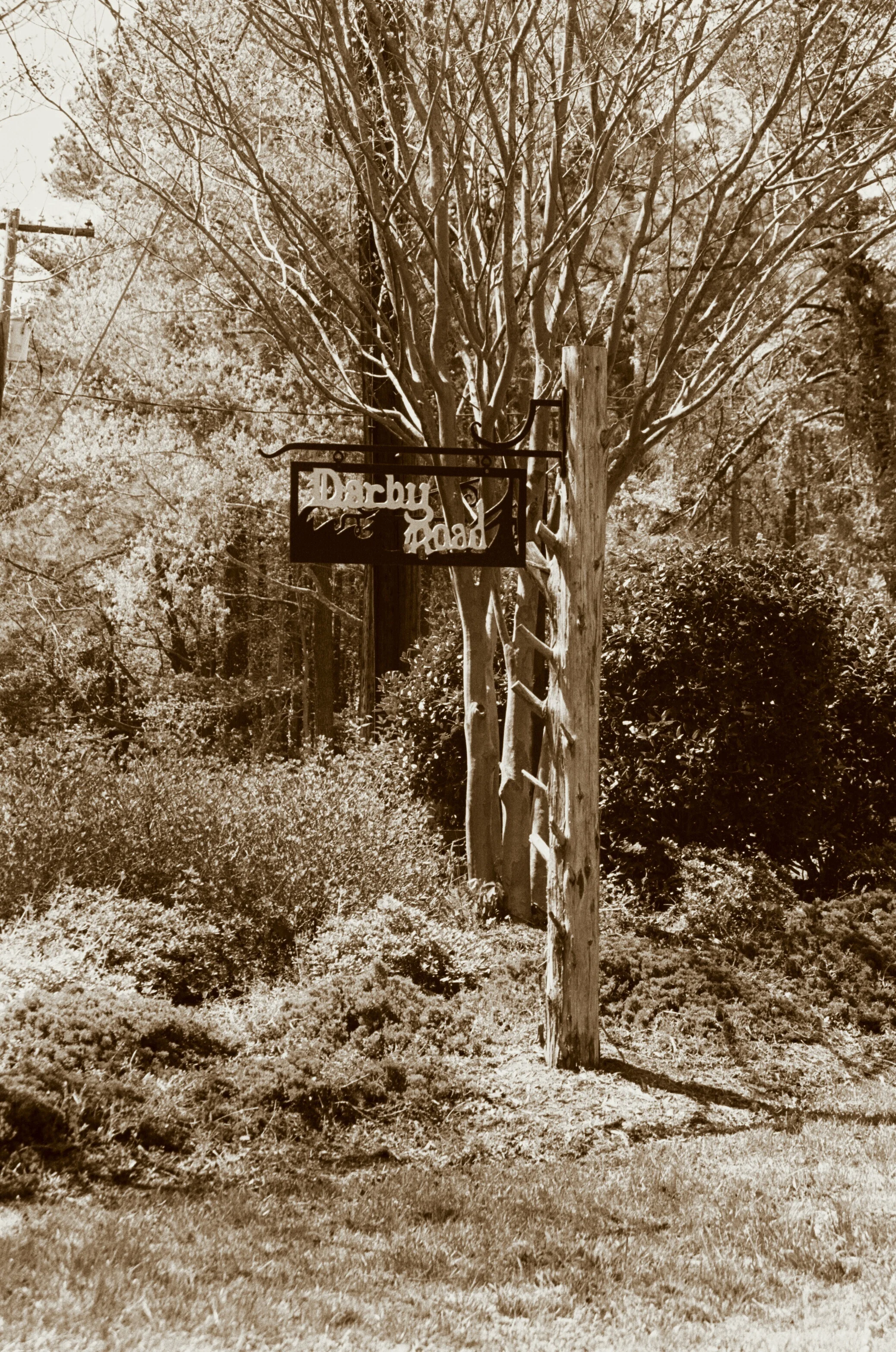 HVNA Fall 2017 Newsletter