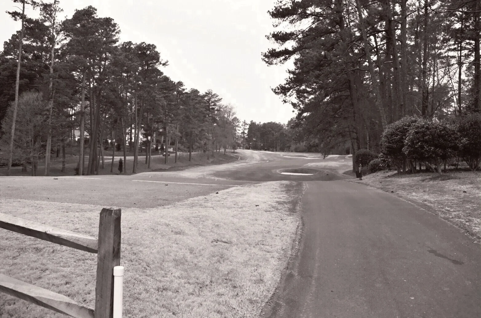 HVNA Winter 2018 Newsletter