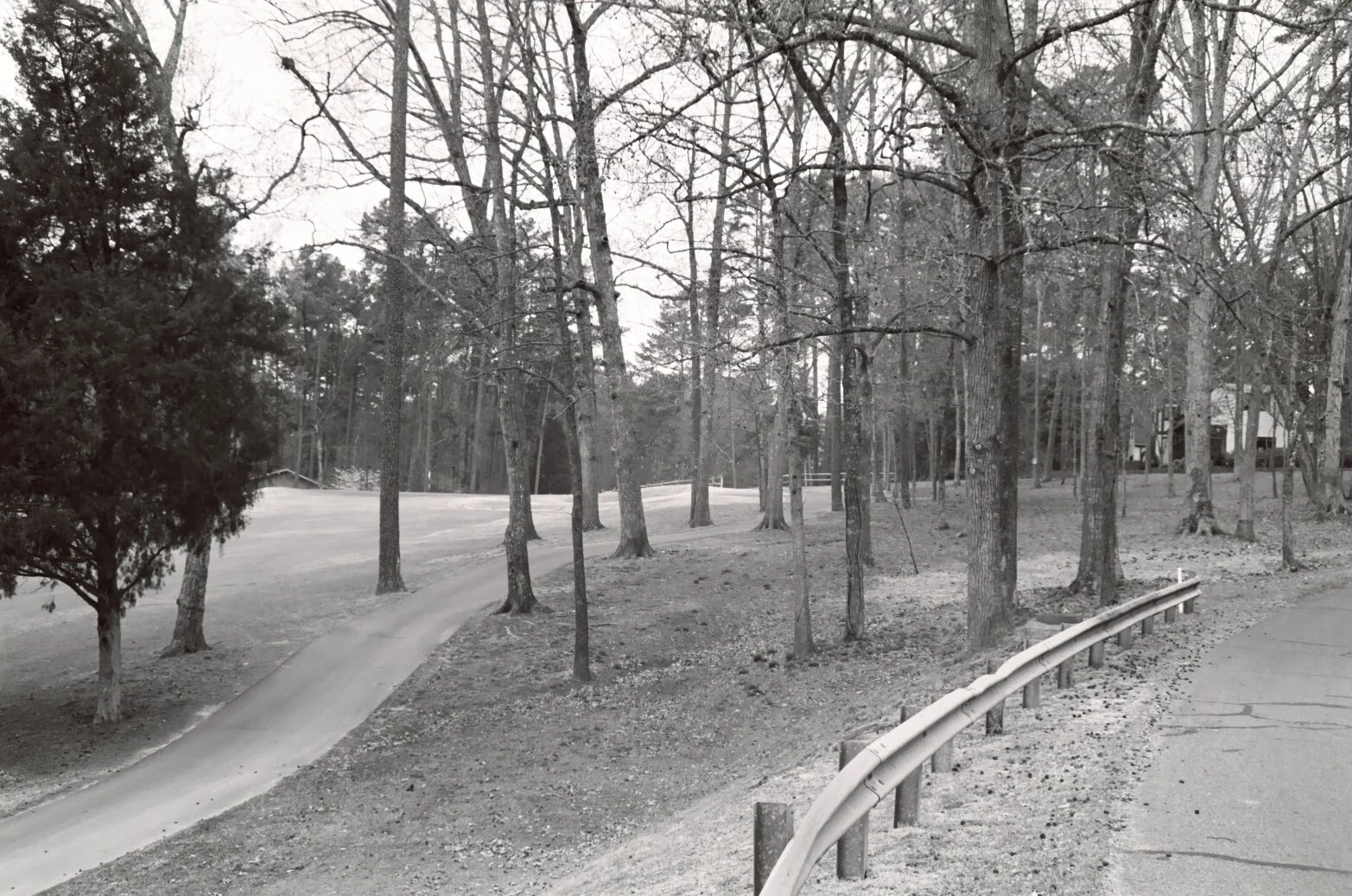 HVNA Winter 2020 Newsletter