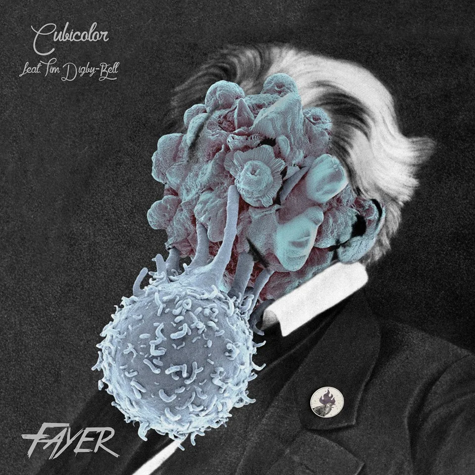 Best New Releases from January 2016