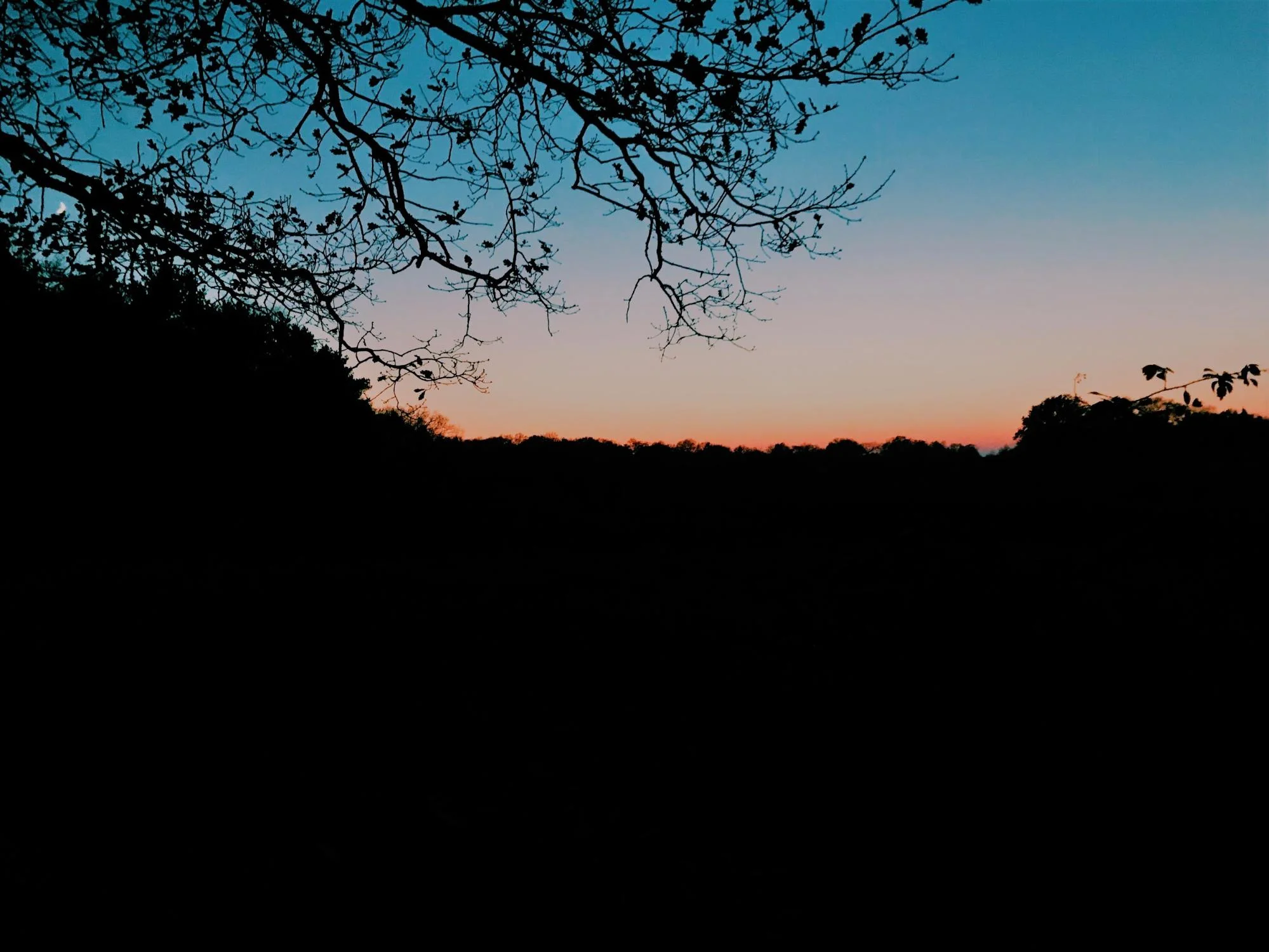 image3.jpg