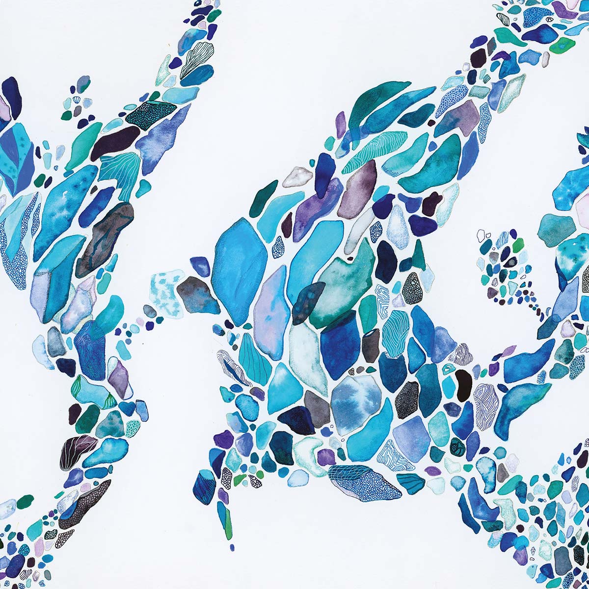 PREMIERE: Quarion - Teal [Drumpoet Community]