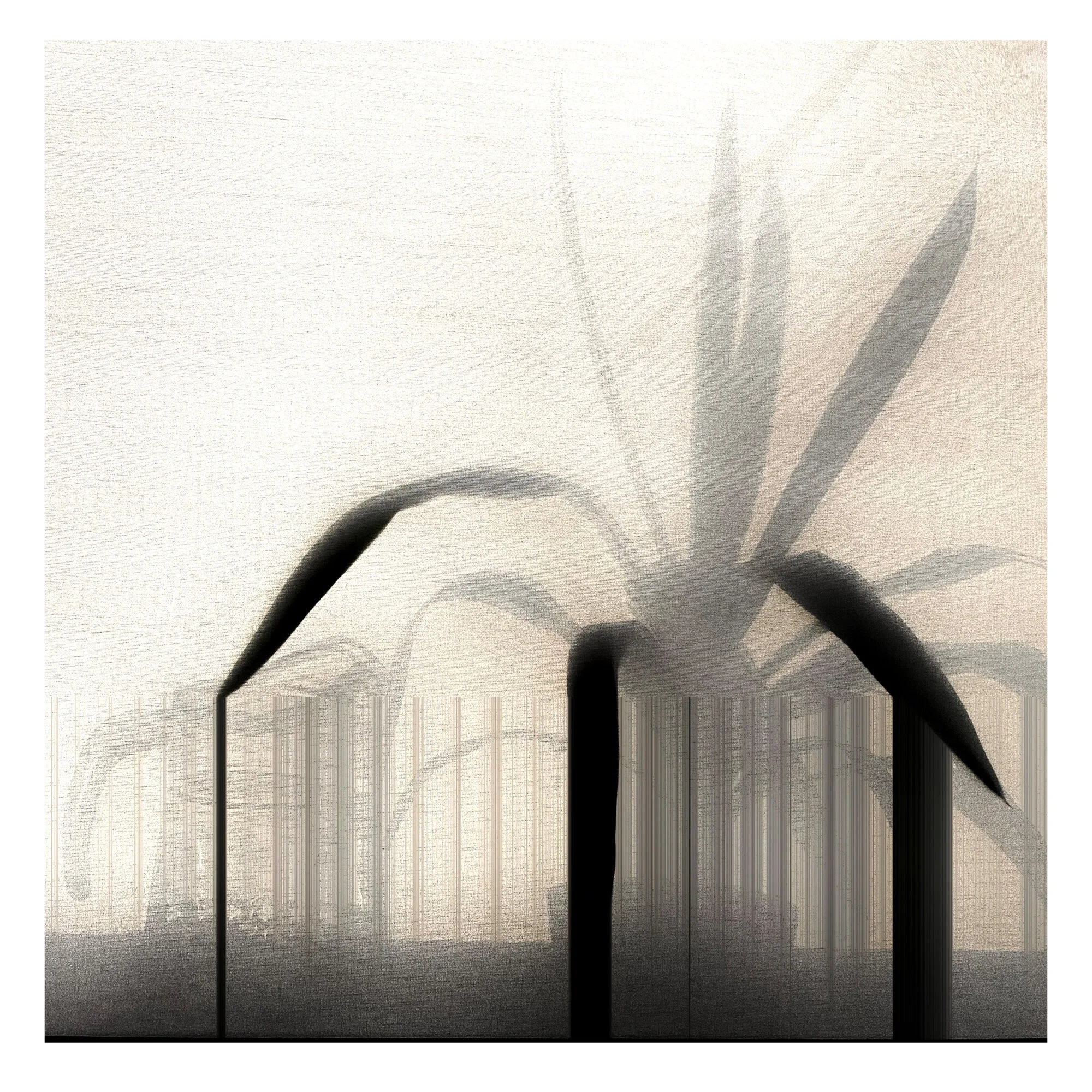 Sundays are for... Max In The World