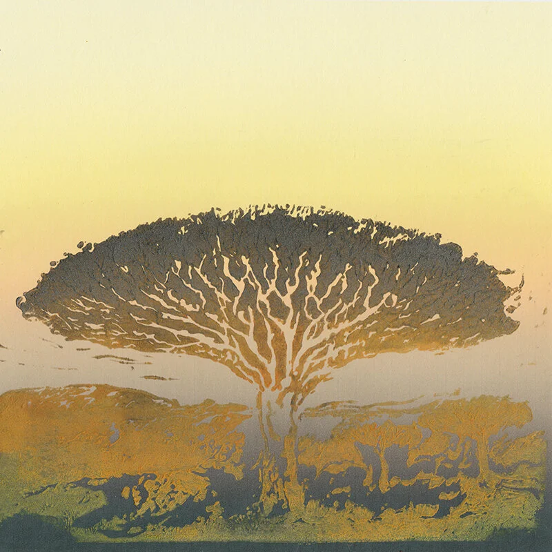 PREMIERE: Simone Bauer - Aurea [Accents Records]