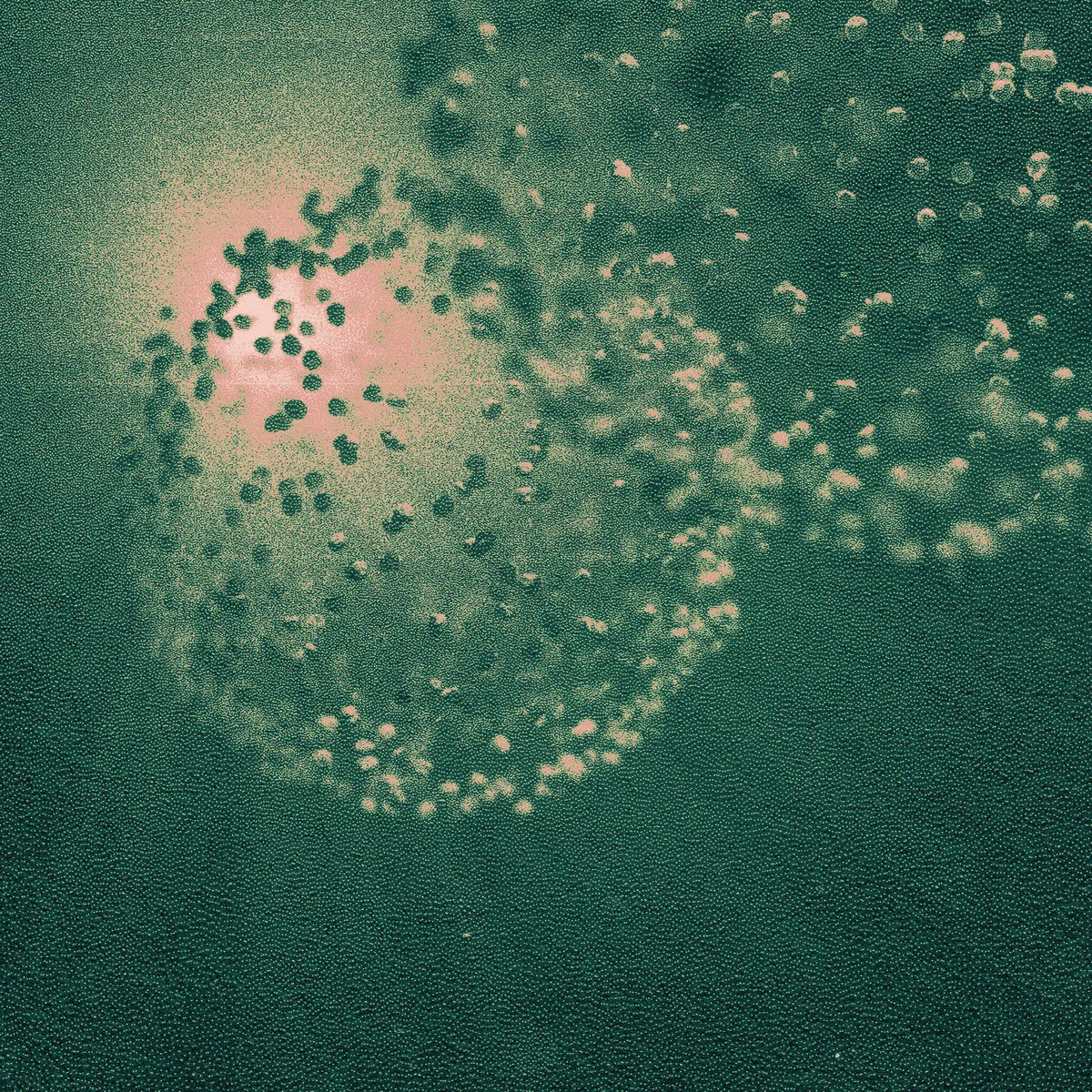 PREMIERE: Laura BCR &amp; Forest On Stasys - 5 Elements [SoHaSo]