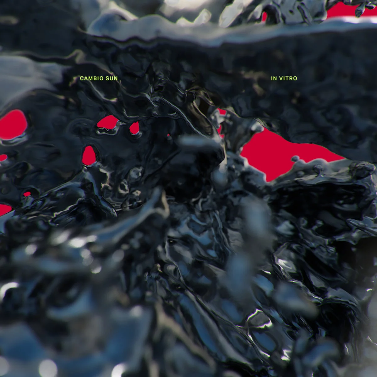 TRACK OF THE MOMENT: Cambio Sun - In Vitro