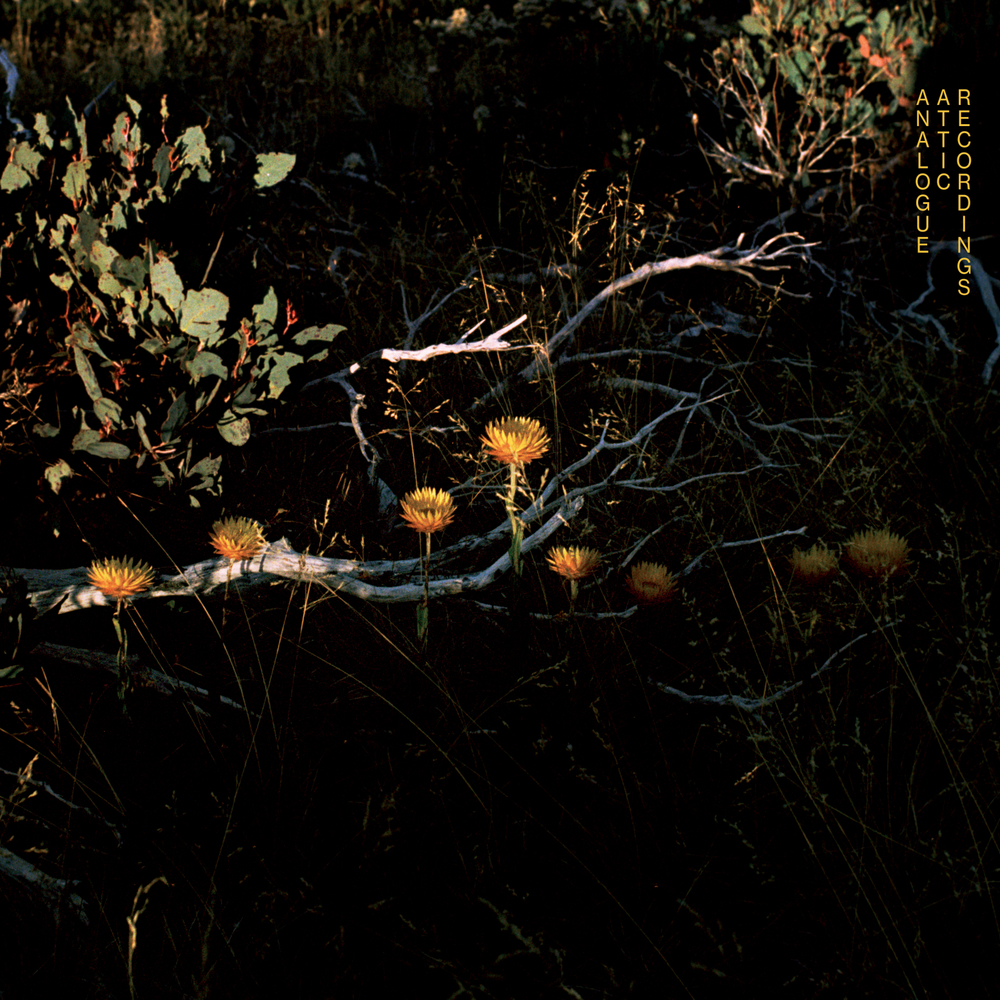 PREMIERE: Sean La’Brooy - Northcote, Winter Solstice