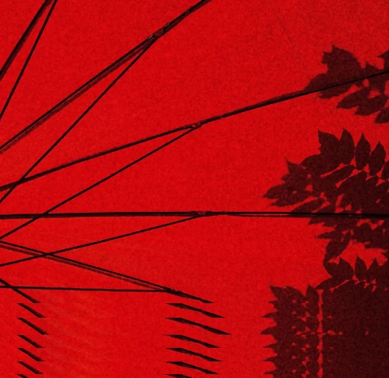 Sundays are for... Francesco Piunti