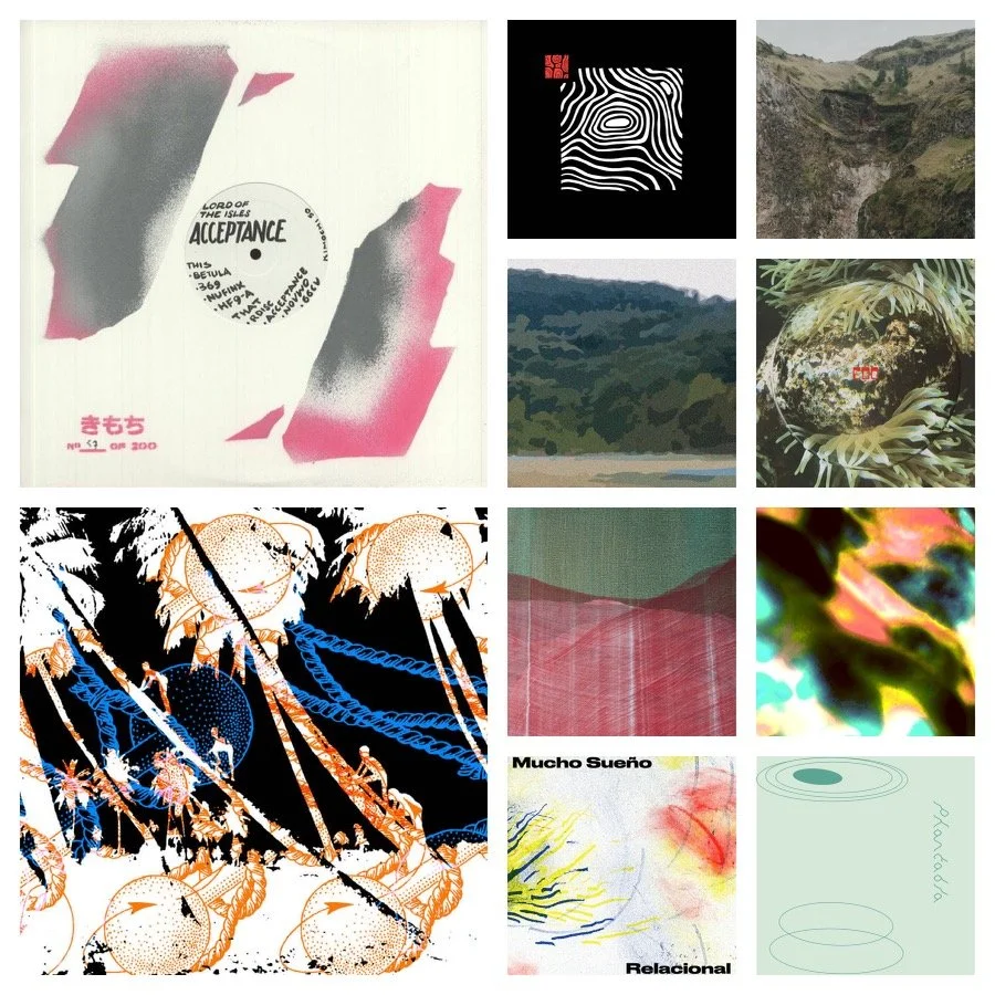 Favorite Releases from November 2021