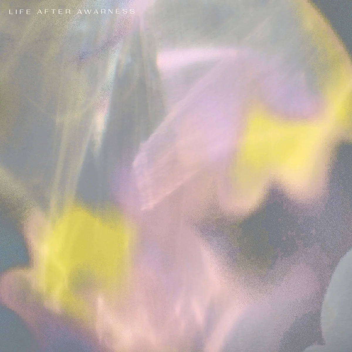 PREMIERE: Molly - West Wave [Pregnant Void]