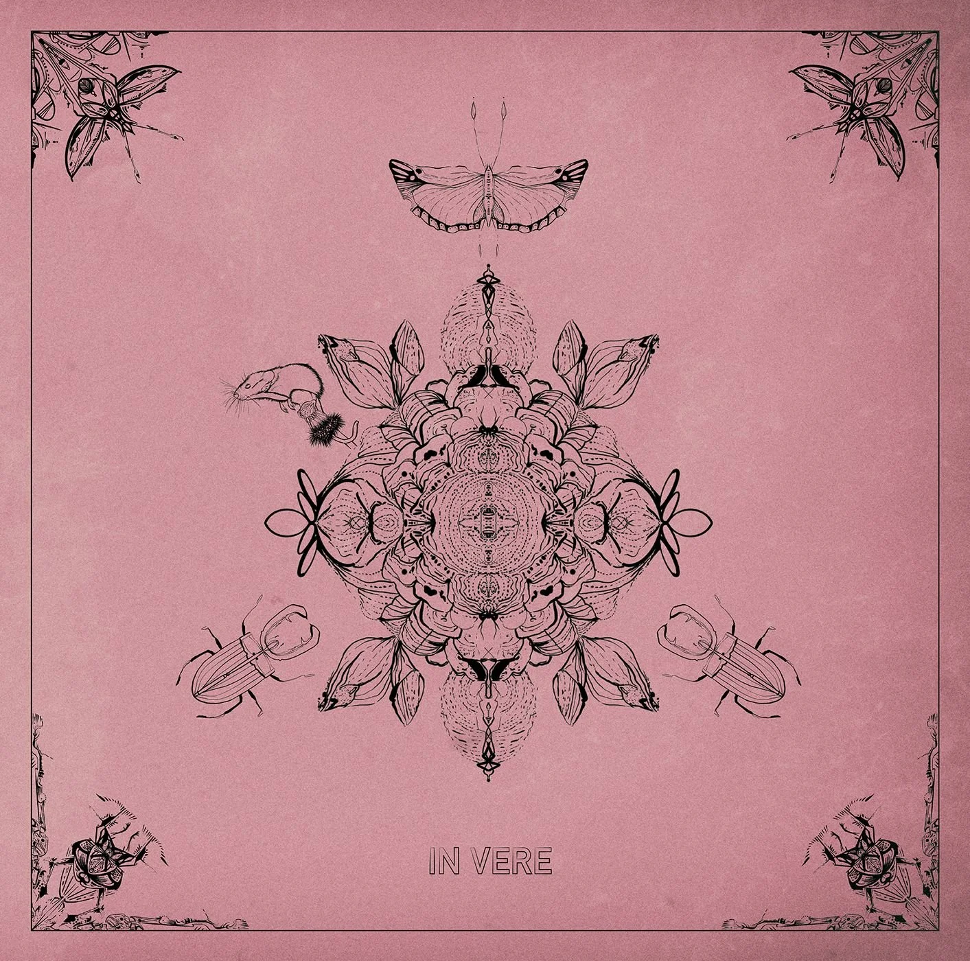 REVIEW: JakoJako &amp; Rødhåd -  In Vere [WSNWG] 