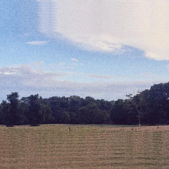 Sundays are for... Halos