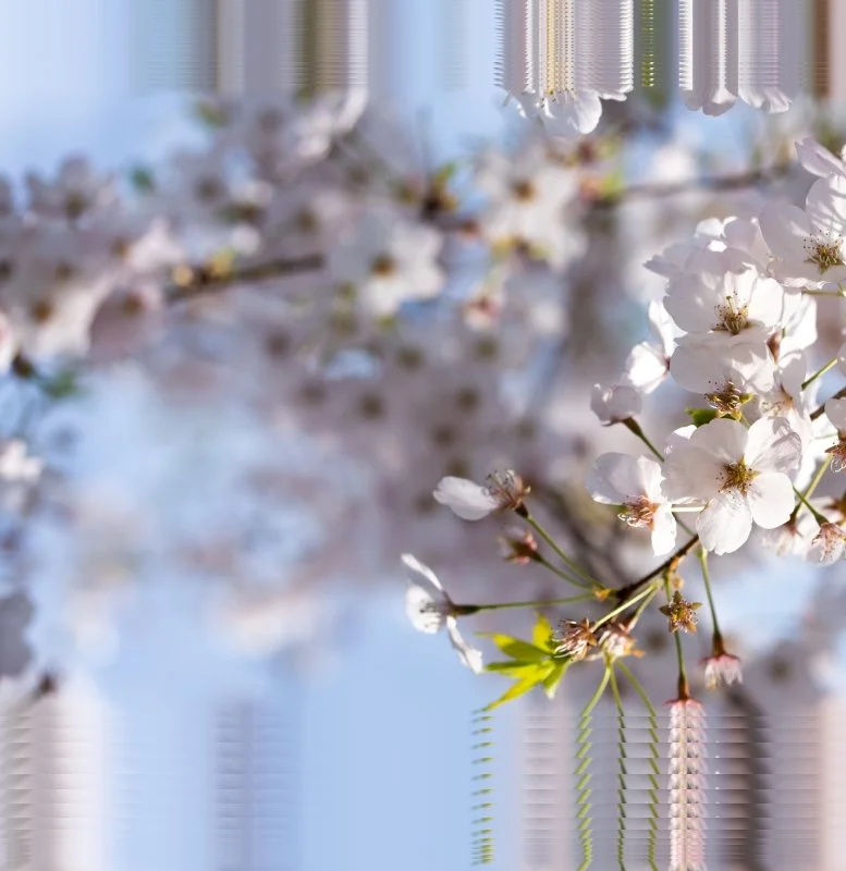 Sundays are for... Vice City