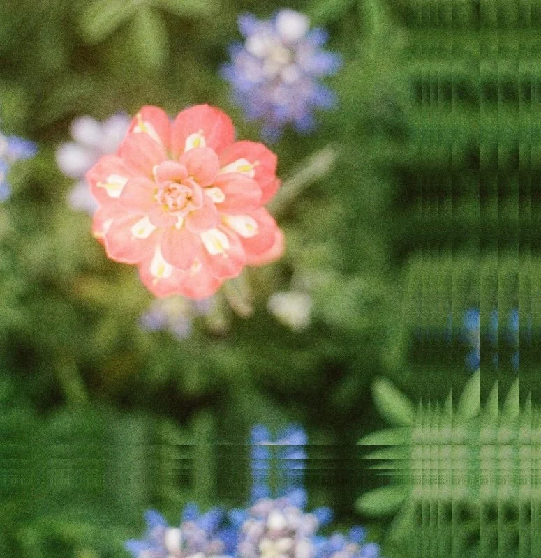 Sundays are for... LVT