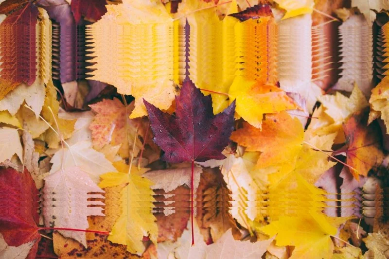 Sundays are for... Vicki Siolos