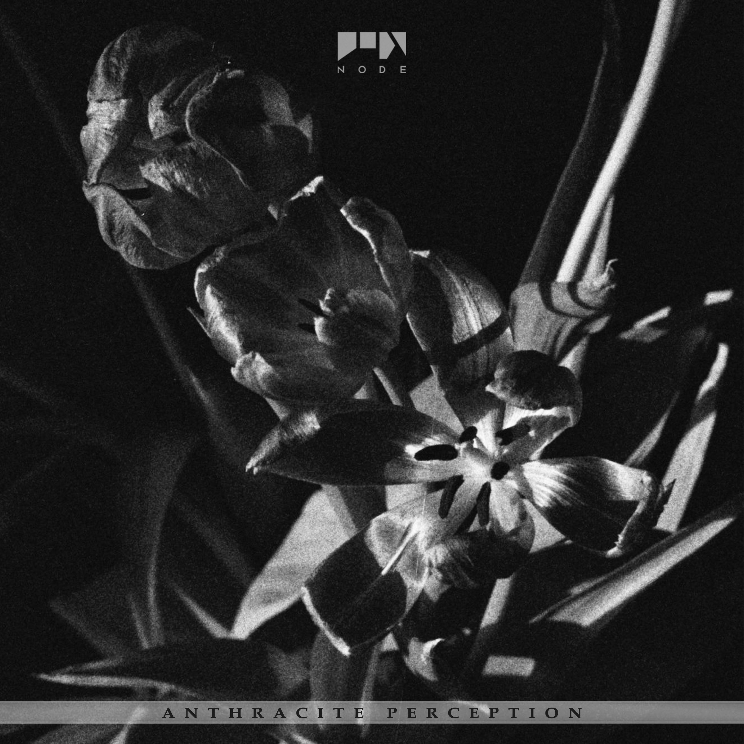 PREMIERE: Vanoni - Arwen [NODE Recordings]