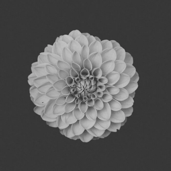 PREMIERE: Yard One -One Day [Tact Recordings]
