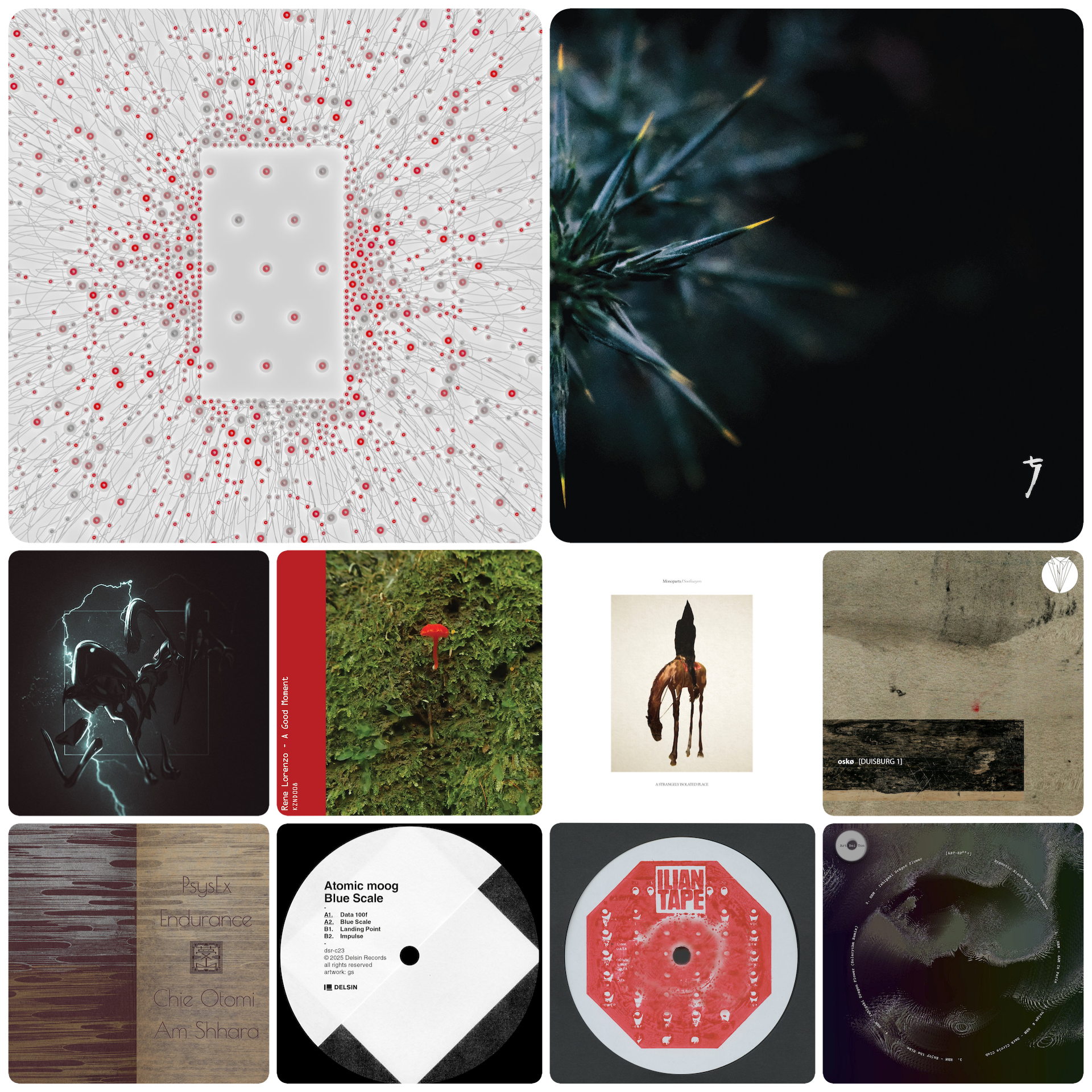 Favorite Releases from February 2025