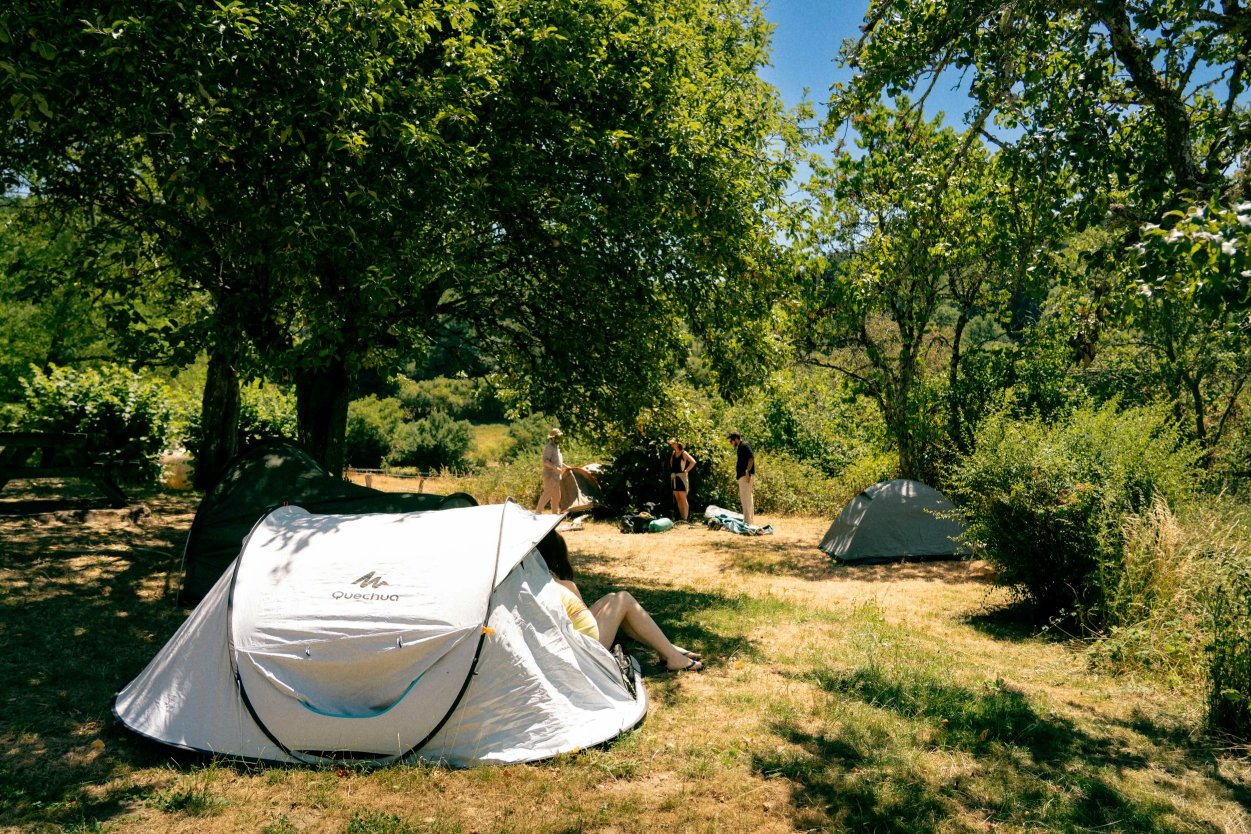 _DSC6101.jpeg