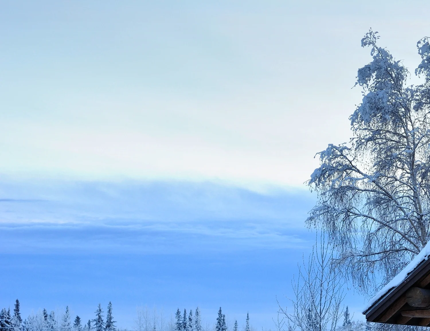 Snow_Alaska.jpg