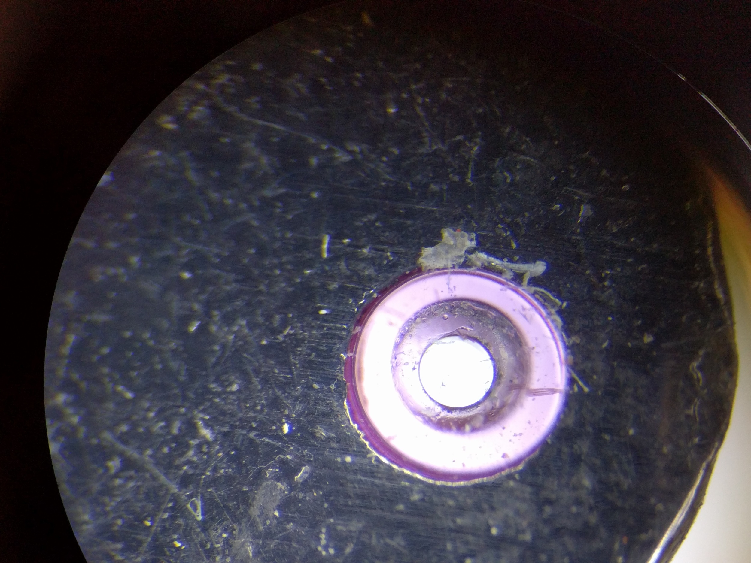  This is one of the ruby bearings found in the assembly, approximately 0.05" in diameter. 