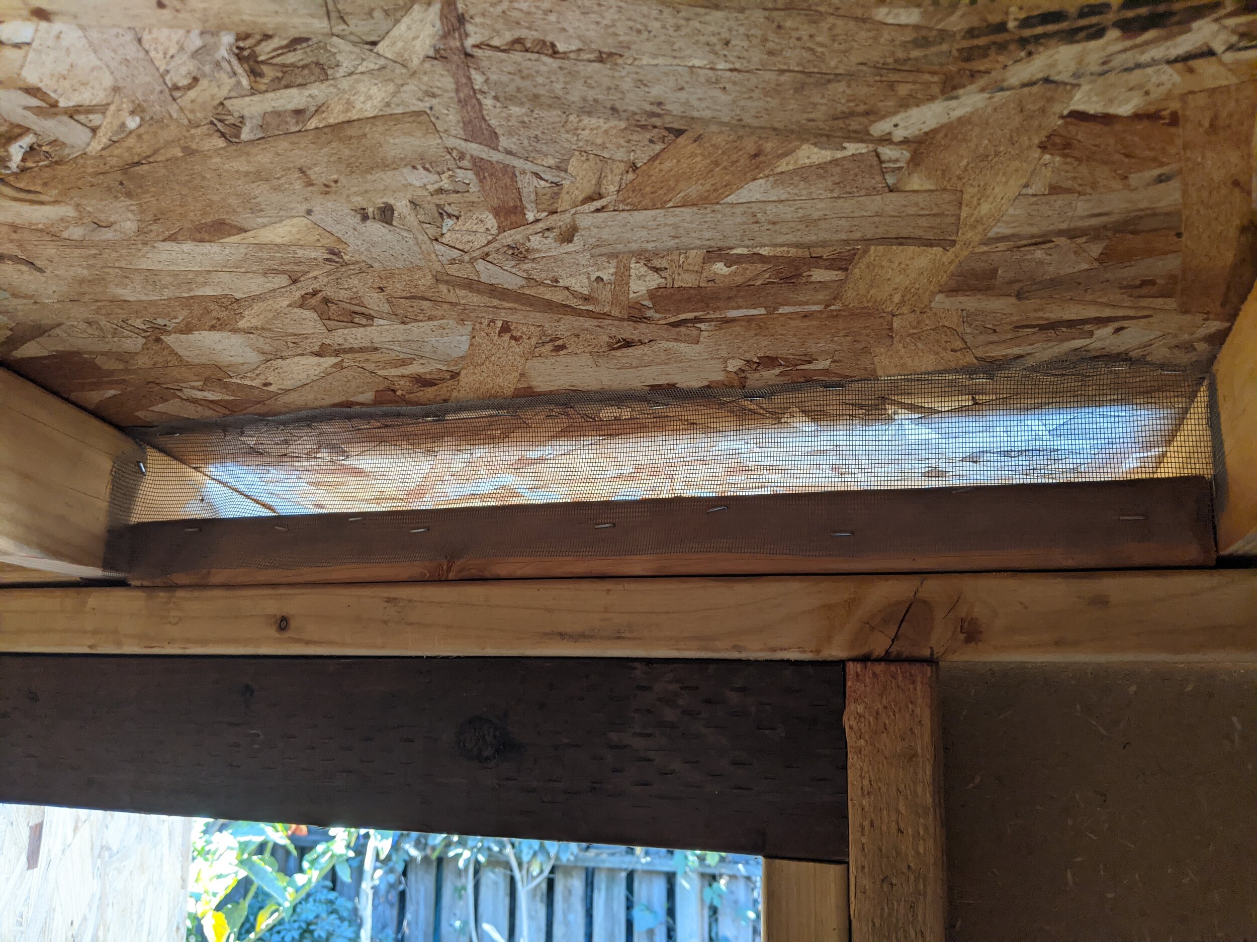  I decided to leave these gaps between the roof and walls to promote airflow, but stapled in door screen material to prevent critters from getting inside. 