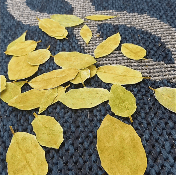 31. Pile of Leaves