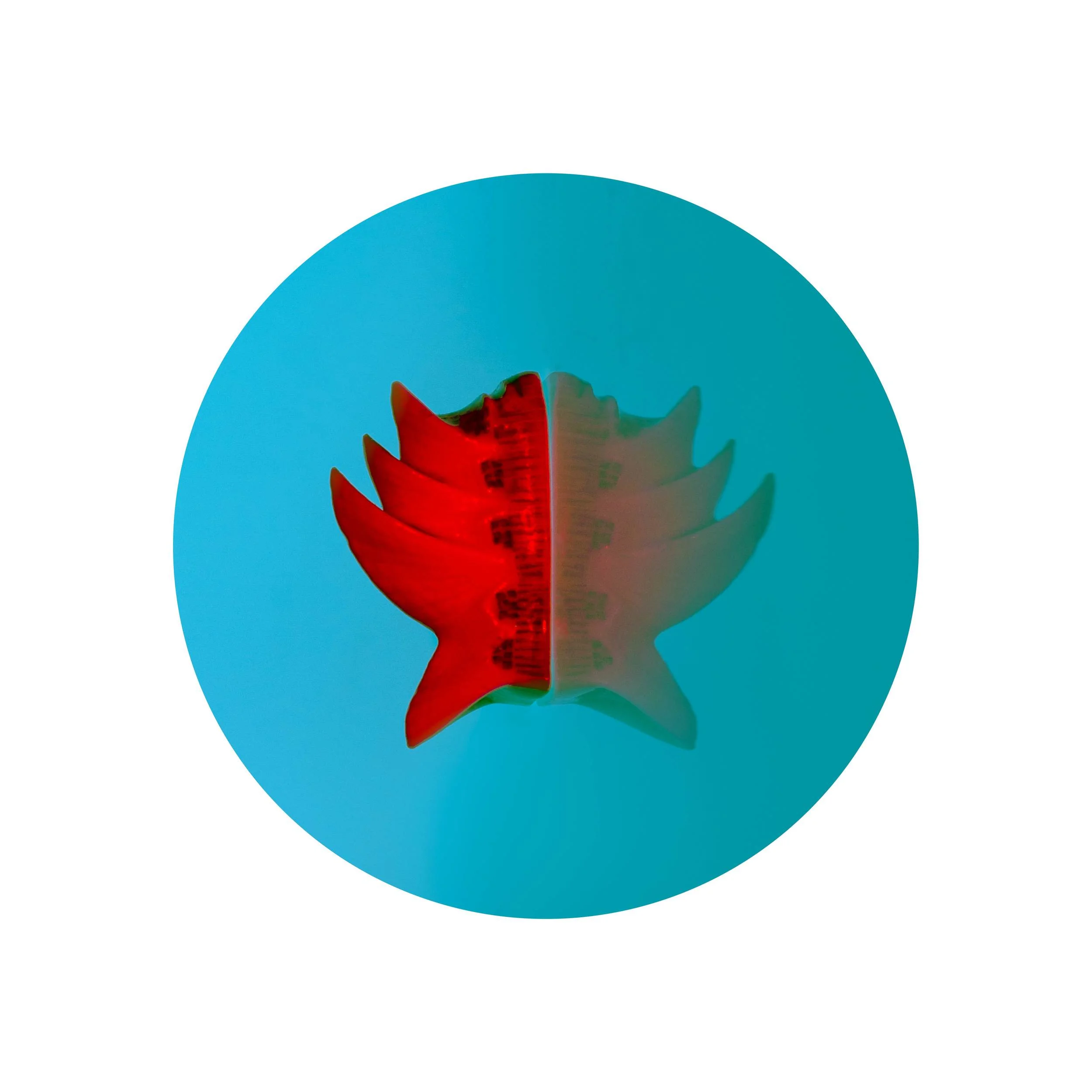   #3  60X60cm&nbsp;Digital C-Type Print 2013 