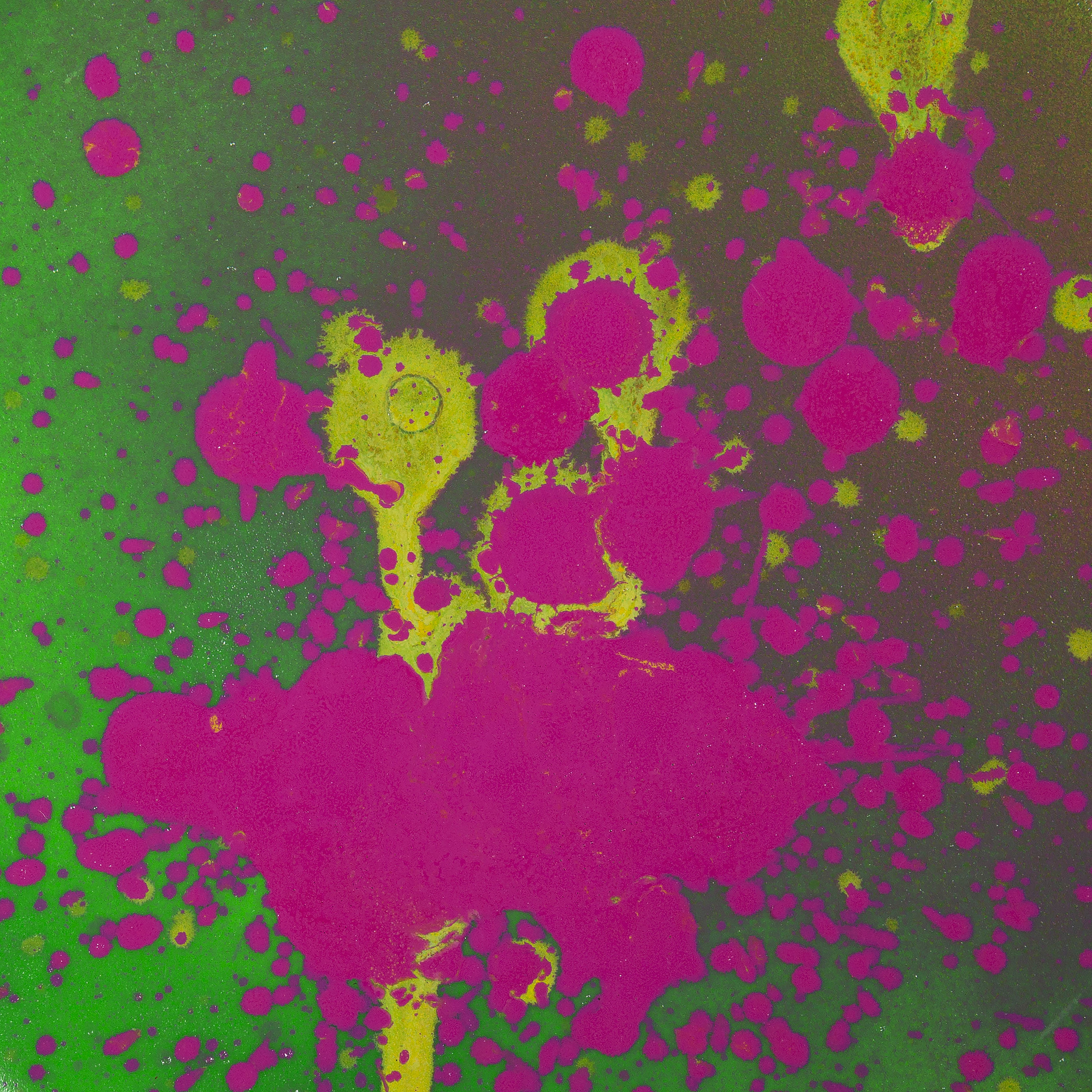 pink_splat.jpg