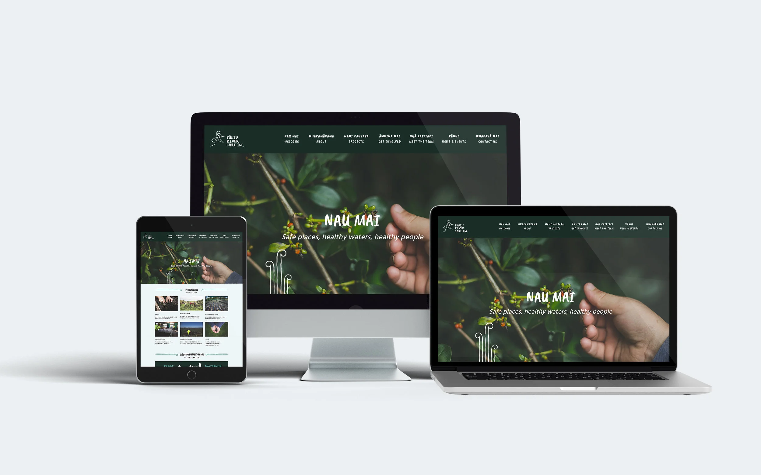 Puniu_Website_Mockup_V1.jpg