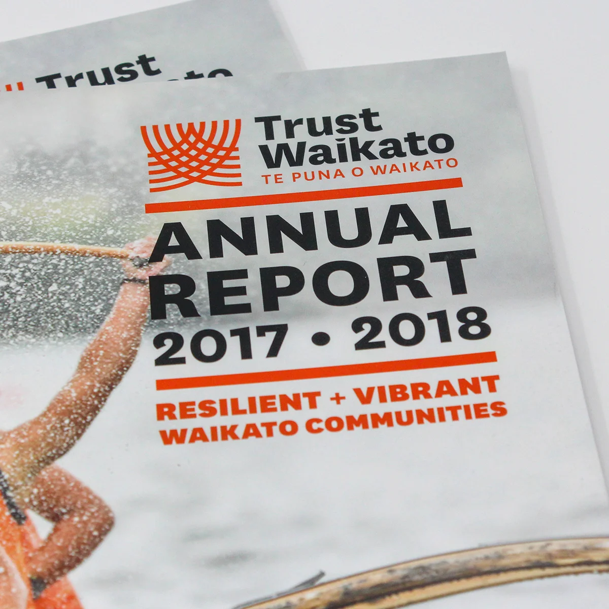 Trust Waikato Annual Report