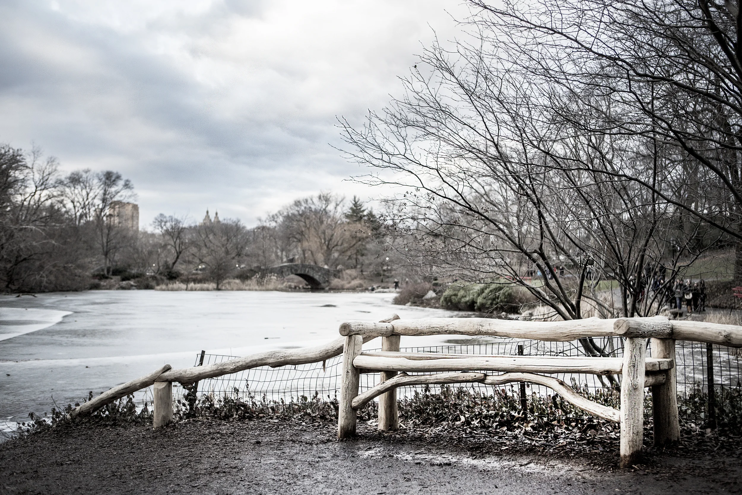 central park 01 (3000w).jpg