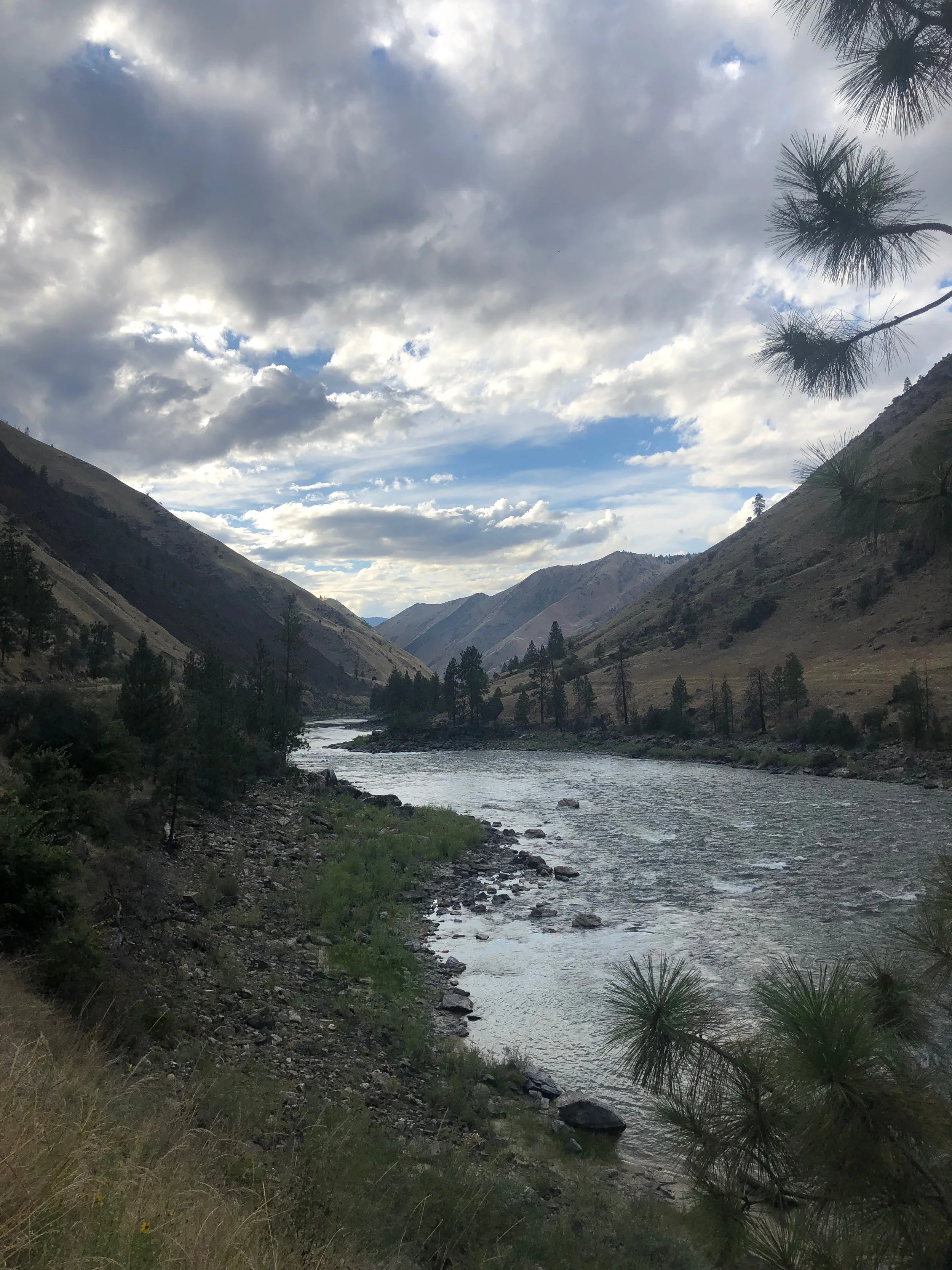 salmon river 3.jpg