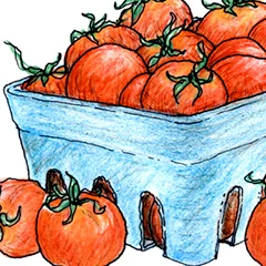 tomatoTHUMB.jpg