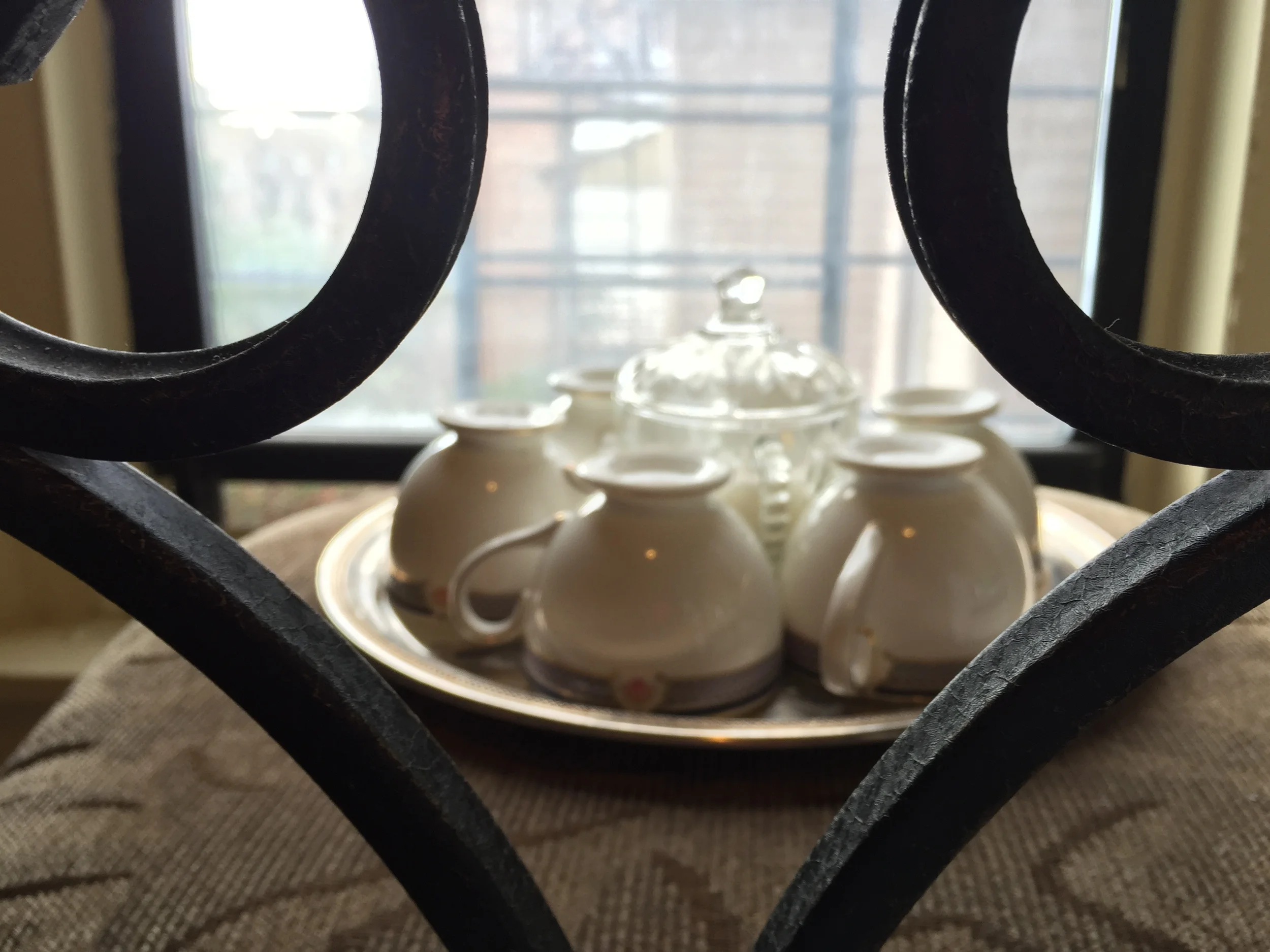 White dish trend