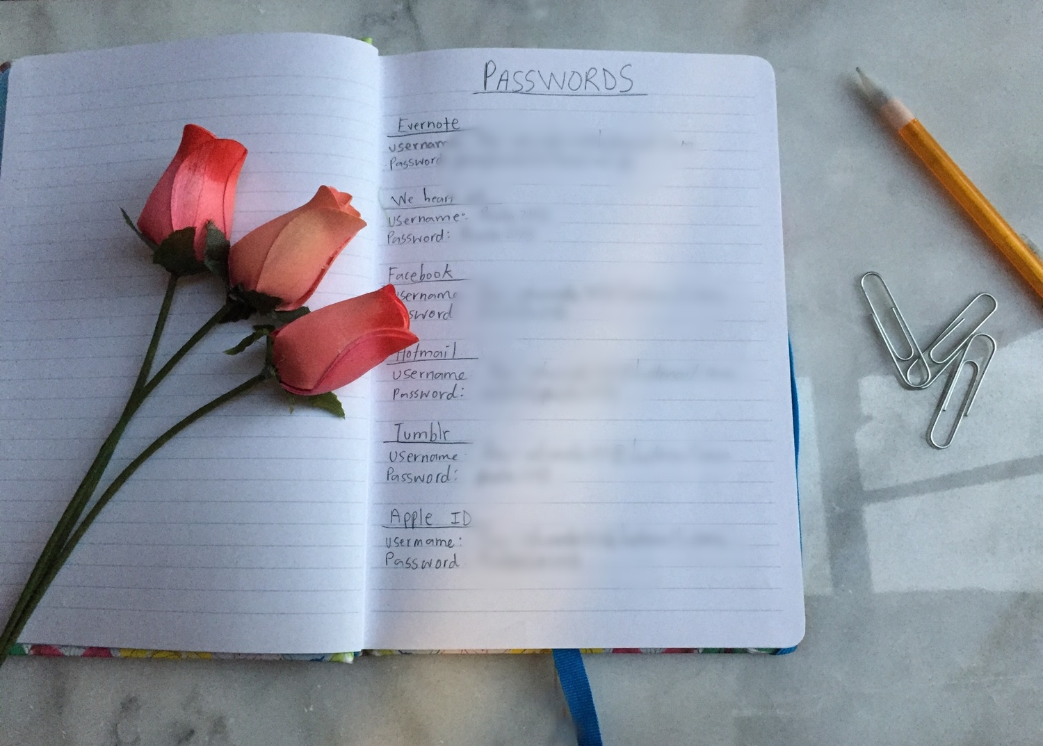 Organized usernames and passwords