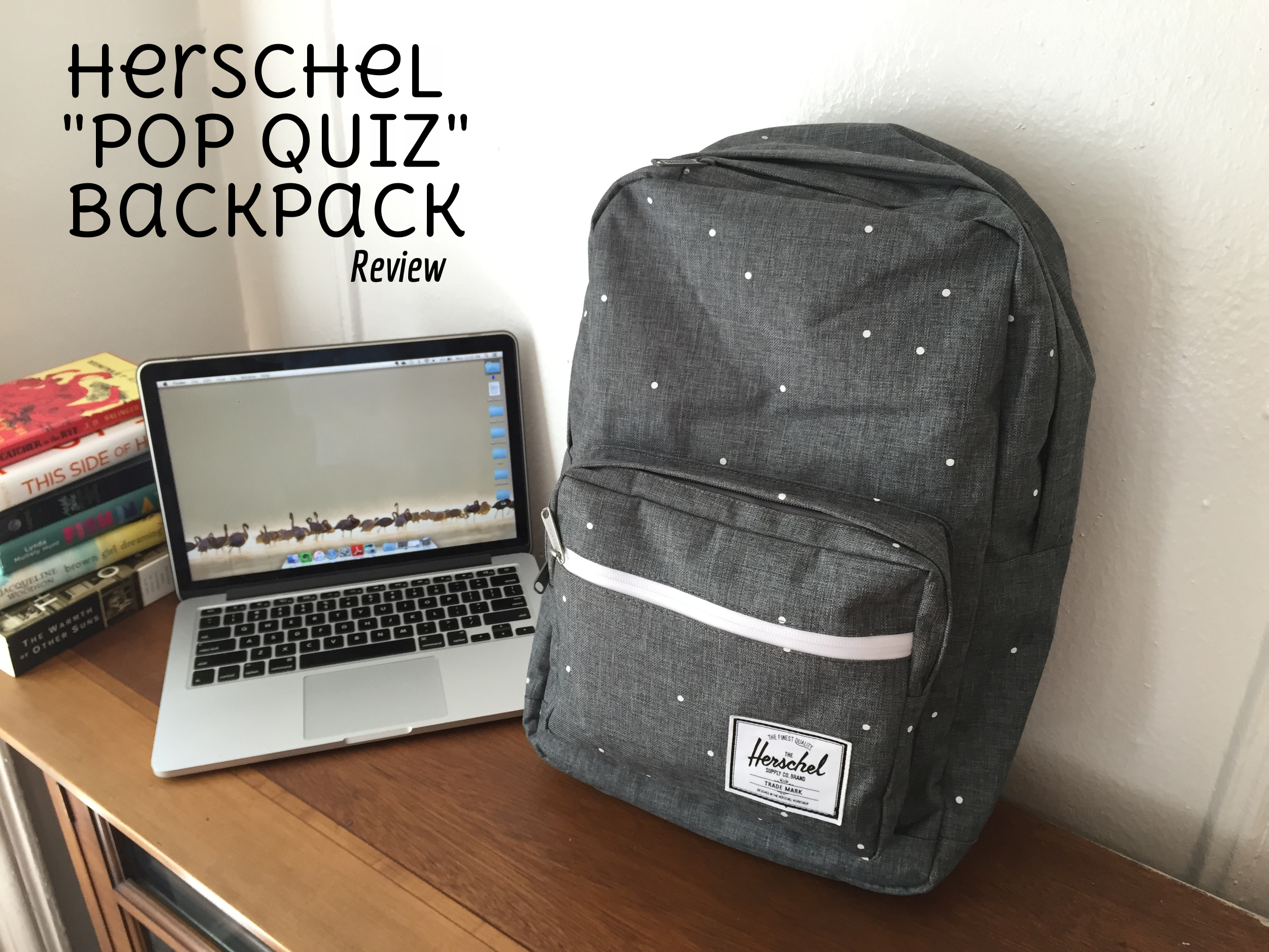 Sæbe Have en picnic Bred vifte Herschel Pop Quiz Backpack — SYNONYMOUS