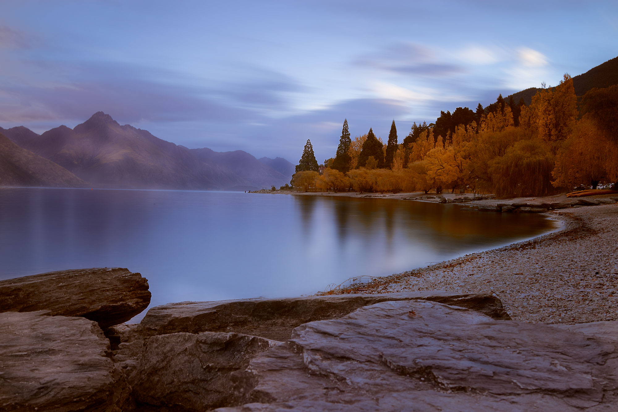 QueenstownTrees.jpg