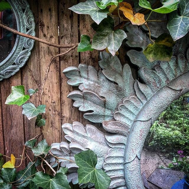 Garden textures.