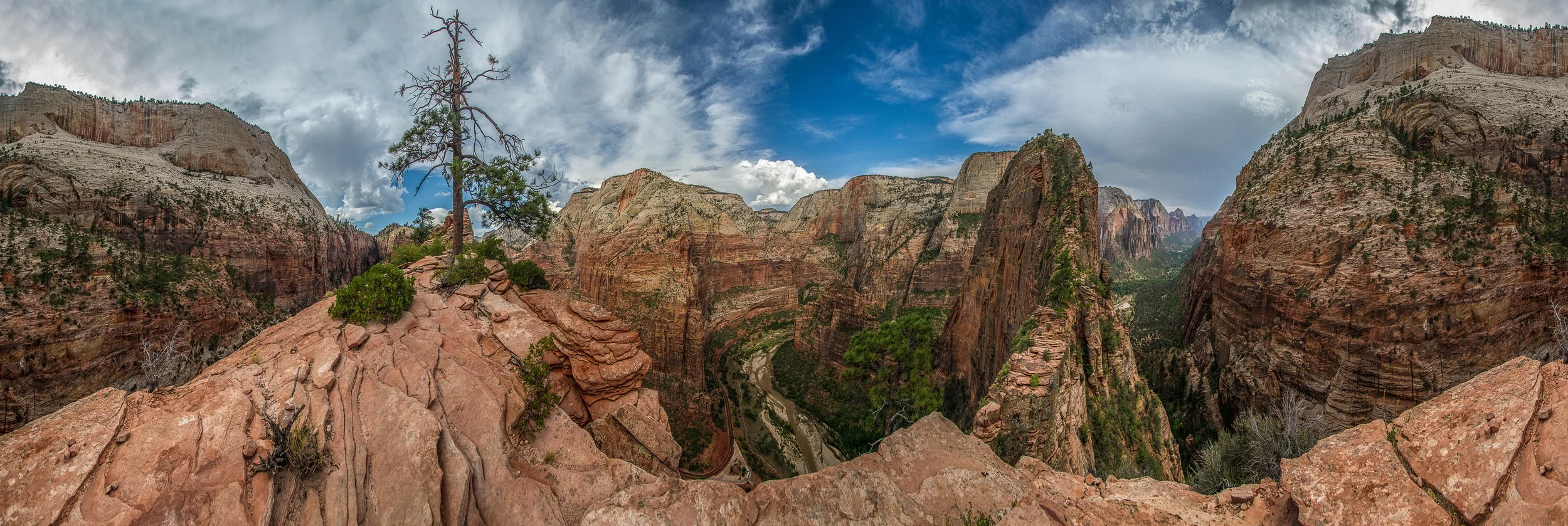 Angel's Landing Trail