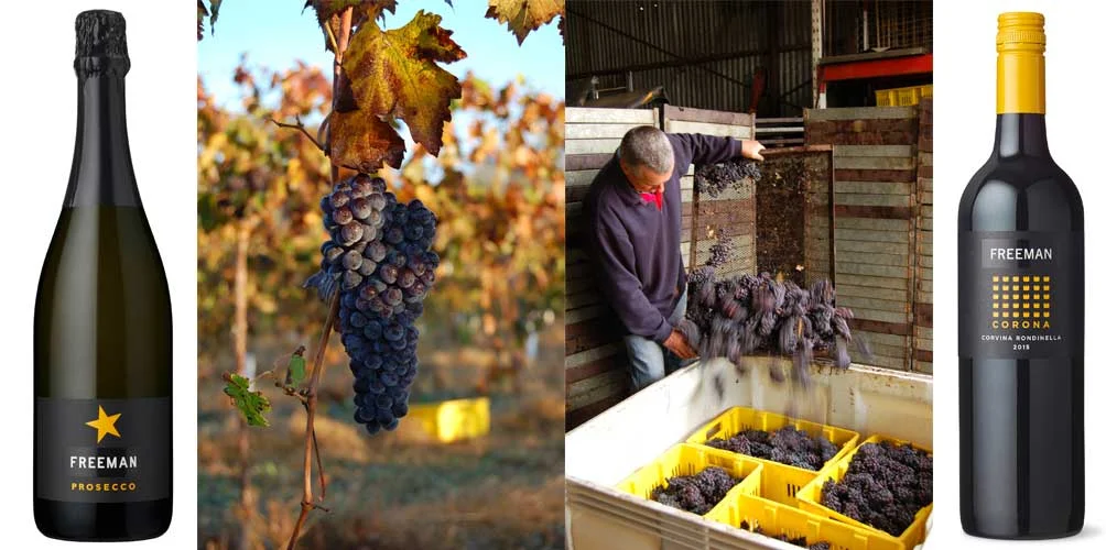 The Long Table Freeman Wine Lunch — Muse