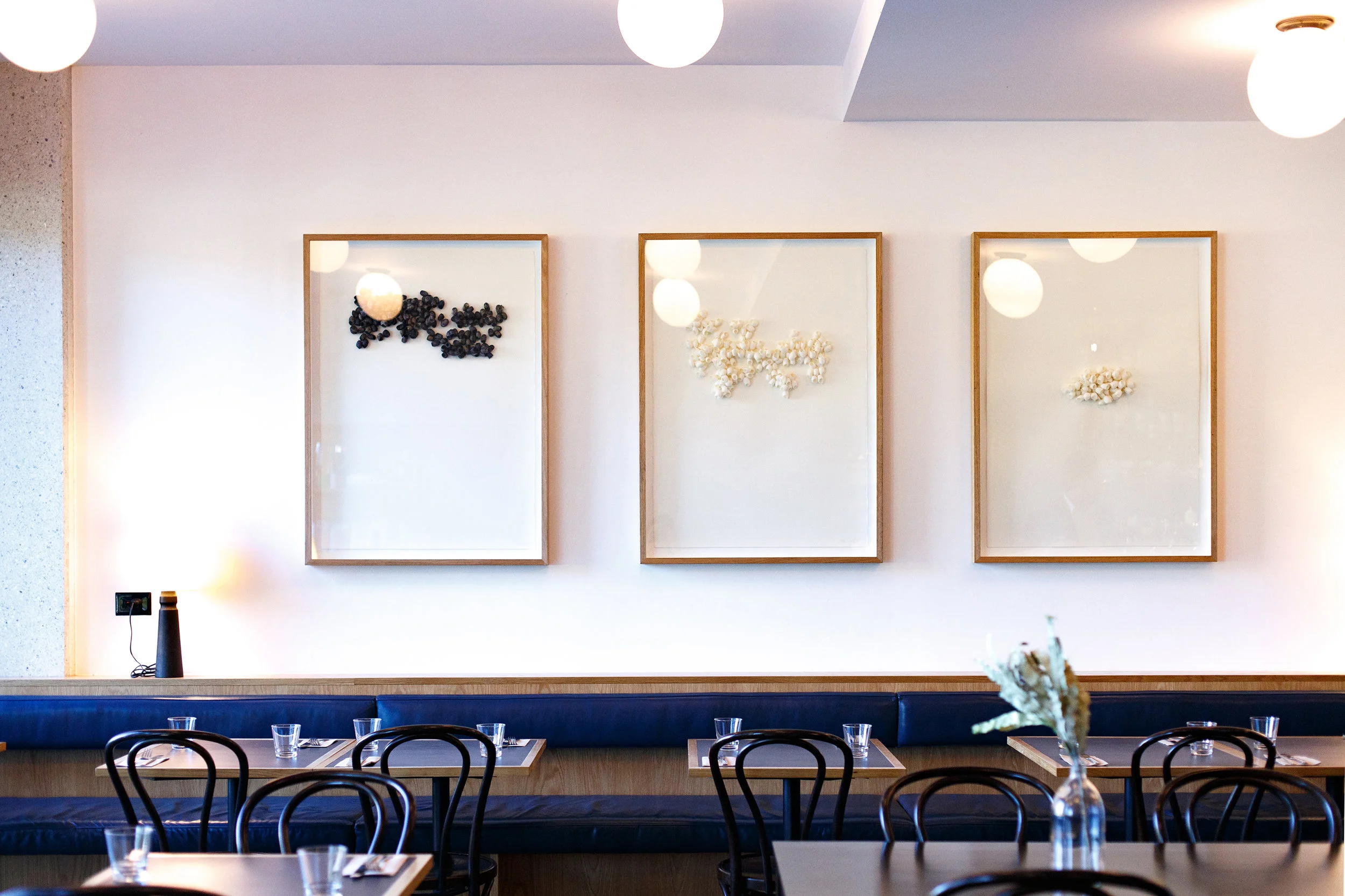 Muse_Restaurant_1.jpg