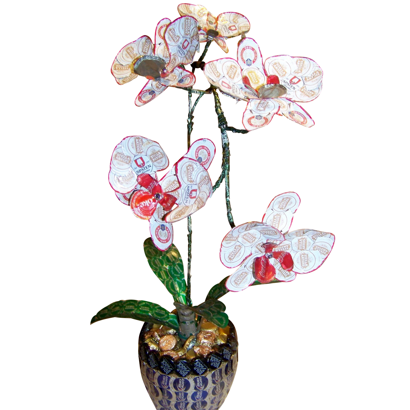 Orchid front copy.jpg