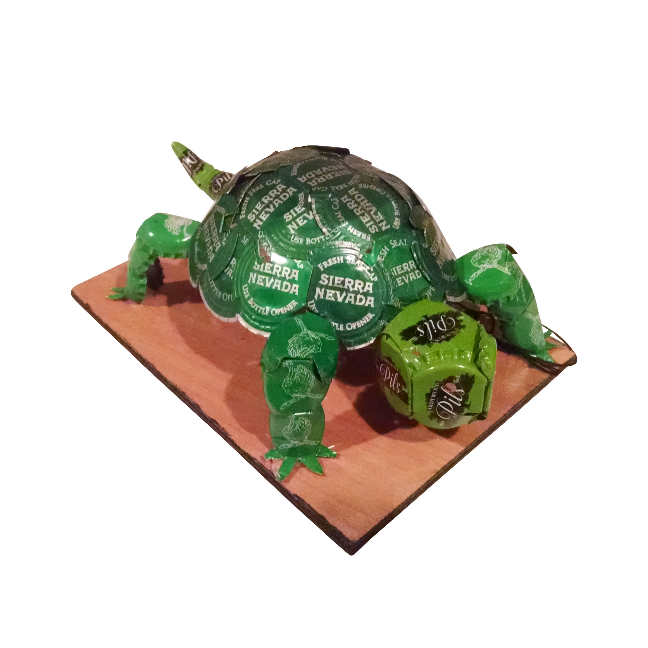 turtle copy.jpg