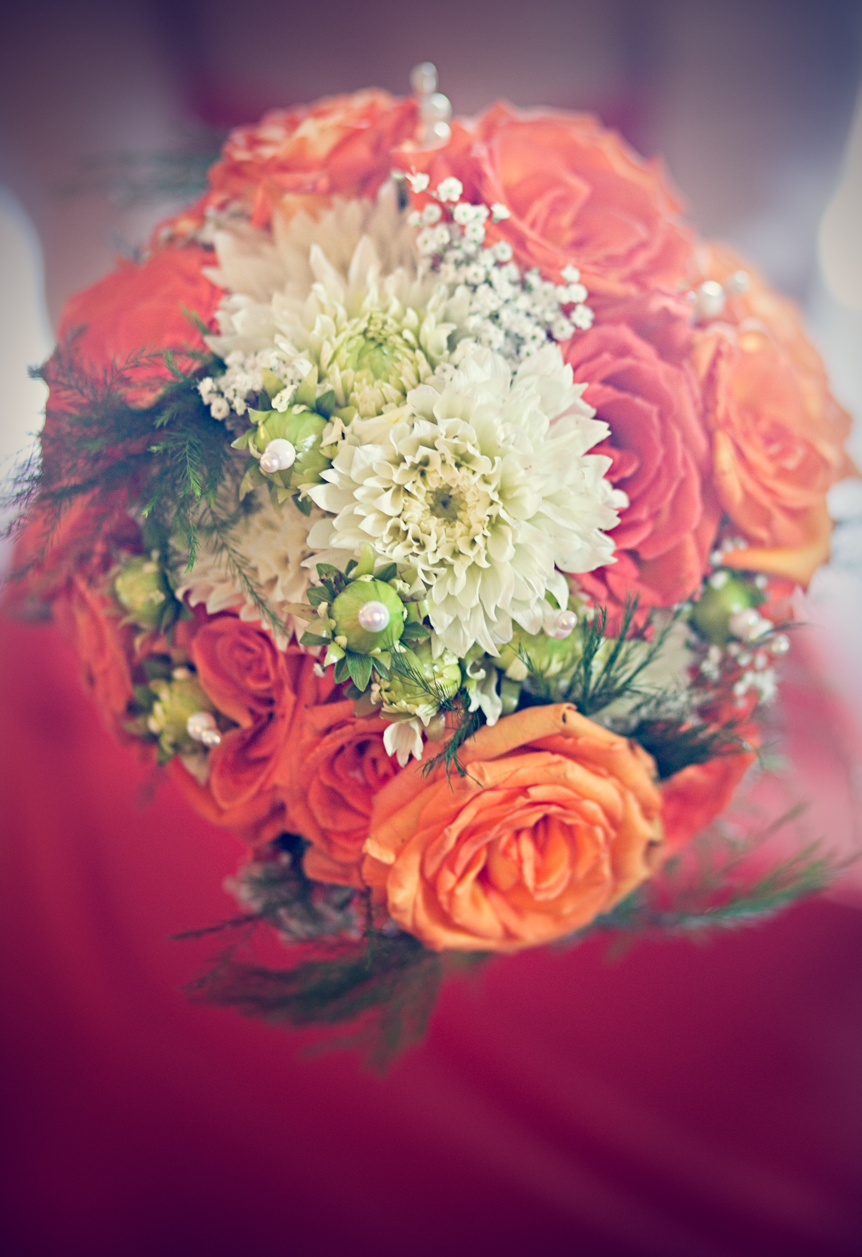 _MG_5028-Edit.jpg